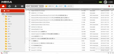 精選精品計(jì)算機(jī)軟件概覽 提升開發(fā)與辦公效率的暗色設(shè)計(jì)工具集