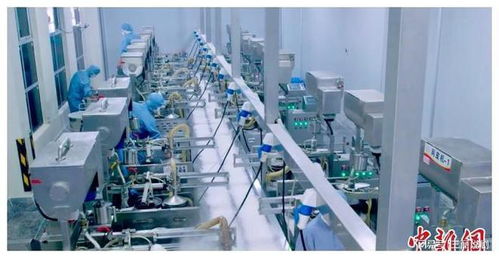 臺商深耕江西 以科技為翼，推動傳統食品傳承與生物化工創新